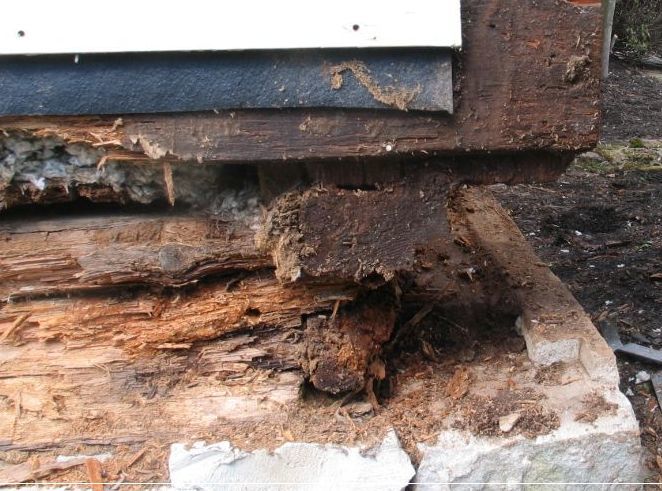 Foundation Repair